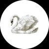 gscloset088
